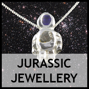 'Jurassic Jewellery' Meteorite Jewellery