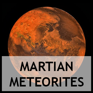 Martian Meteorites