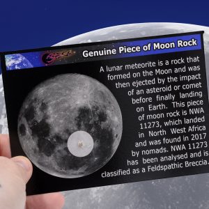 Genuine Moon Rock! - NWA 11273 Lunar Meteorite on a Display Card