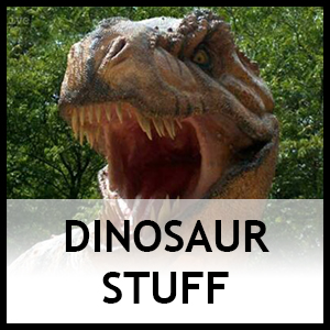 Dinosaur Stuff