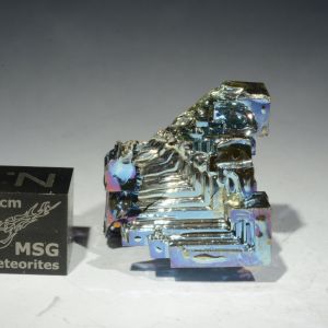 Bizmuth (81)