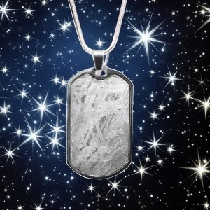 Aletai Iron Meteorite Pendant with Sterling Silver Snake Chain