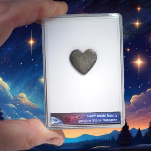 Meteorite Heart From a Genuine Stone Chondrite Meteorite in Display Box